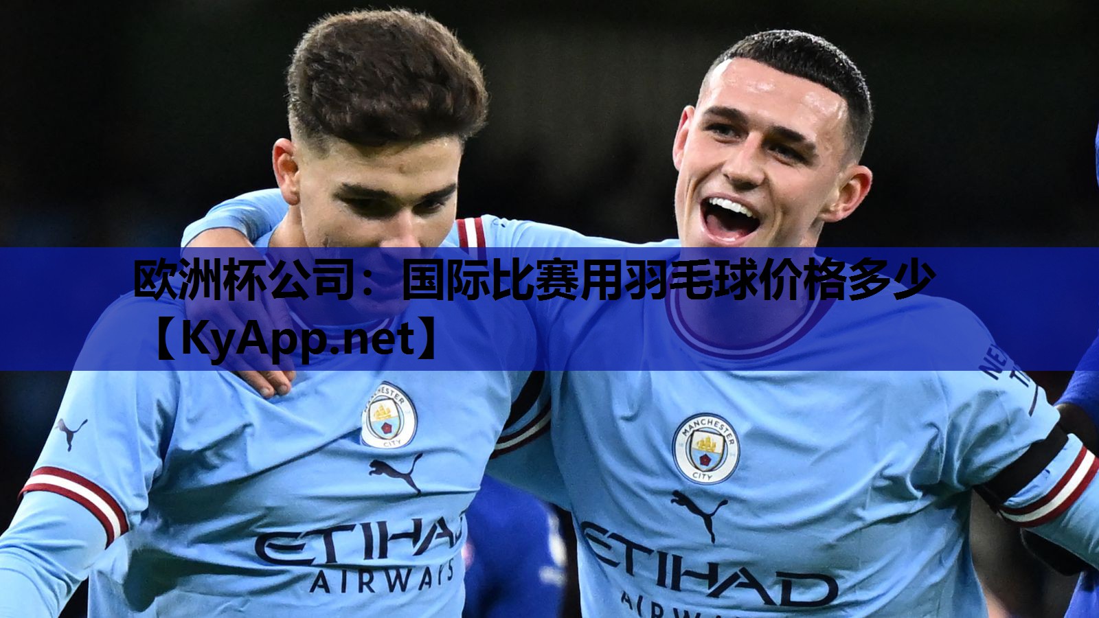 欧洲杯公司：国际比赛用羽毛球价格多少
