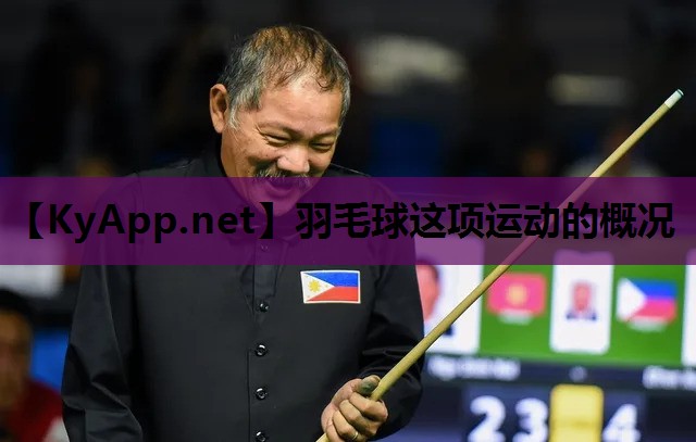 羽毛球这项运动的概况