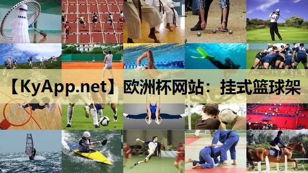 挂式篮球架 挂式篮球架
