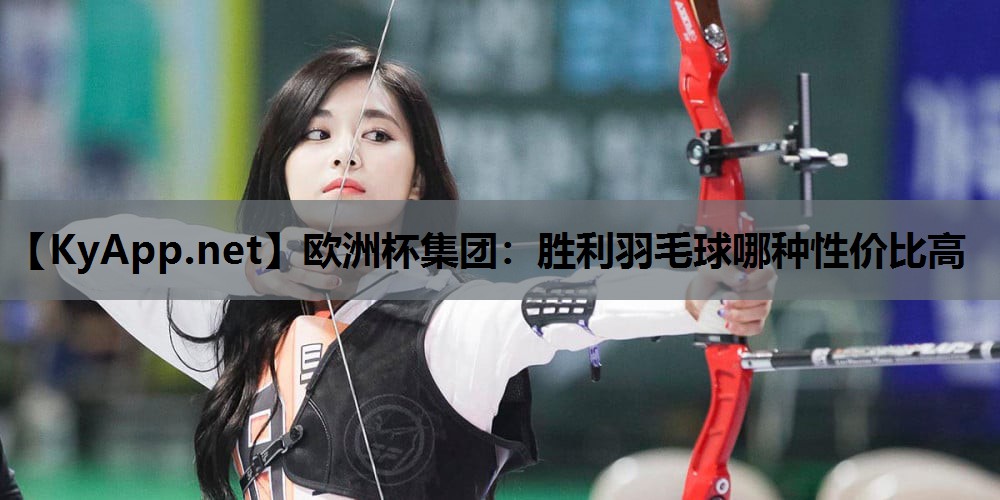 胜利羽毛球哪种性价比高 胜利羽毛球哪种性价比高
