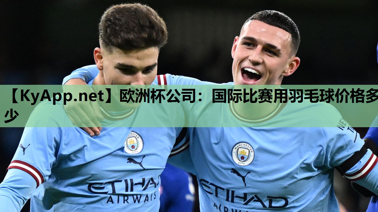 国际比赛用羽毛球价格多少 国际比赛用羽毛球价格多少