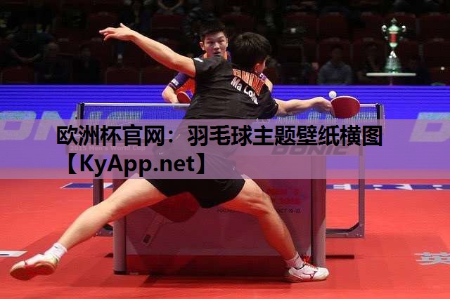 羽毛球主题壁纸横图 羽毛球主题壁纸横图