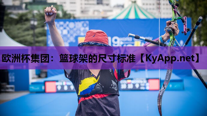 篮球架的尺寸标准 篮球架的尺寸标准